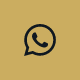 whatsapp icon